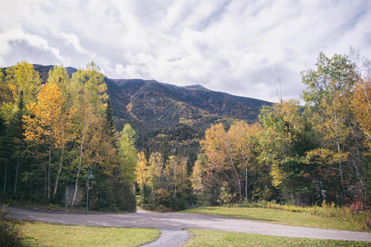 Gite Du Mont-Albert - Sepaq Sainte Anne-des-Chênes Екстериор снимка