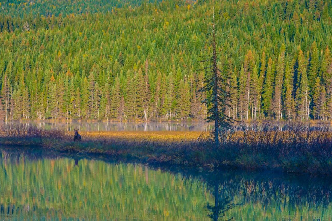 Gite Du Mont-Albert - Sepaq Sainte Anne-des-Chênes Екстериор снимка