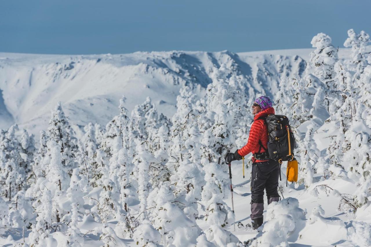 Gite Du Mont-Albert - Sepaq Sainte Anne-des-Chênes Екстериор снимка